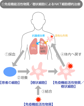 NKT細胞とは | イメージ画像